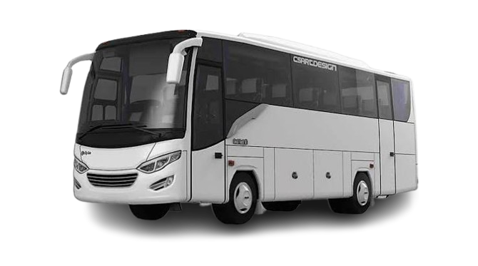 Medium Bus Luhinez Happy Tour